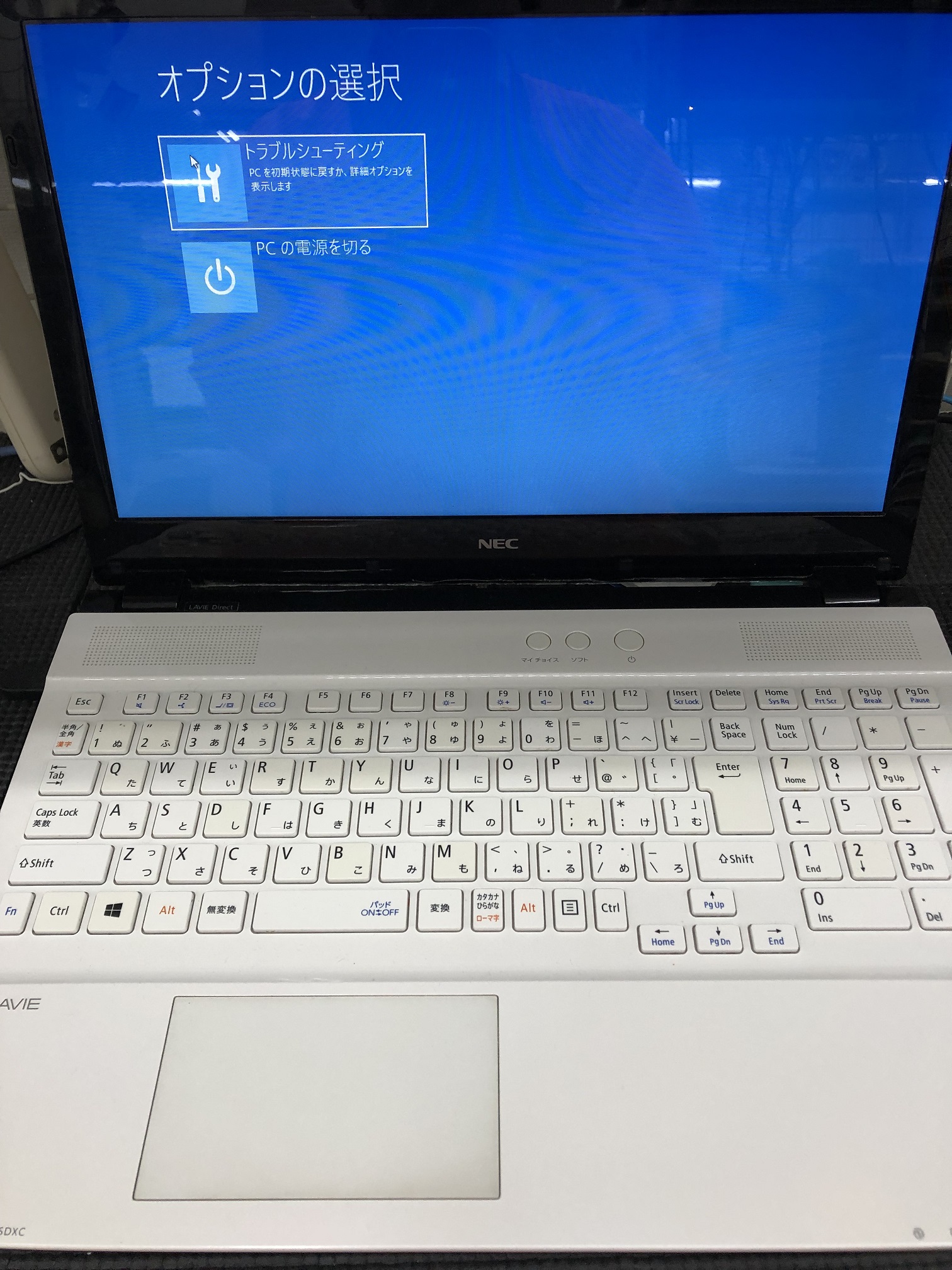 NEC LAVIE PC-GN254FSAA ノートパソコン